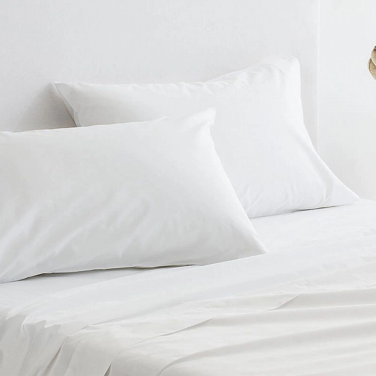 300TC Organic Classic Percale SNOW Sheet Set by Sheridan