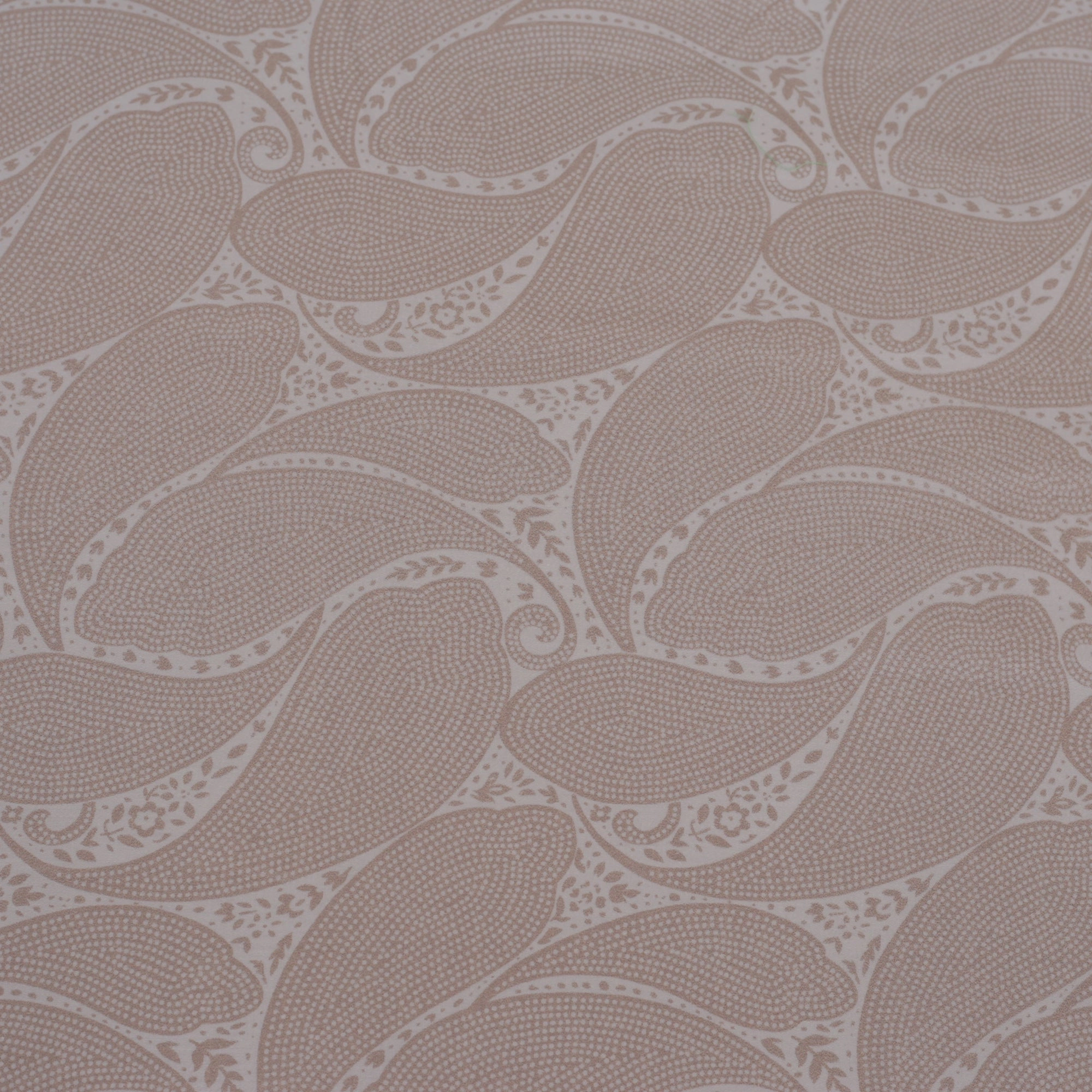 Folklore Transition Paisley Print Printed 100% Cotton Beige Ultra Soft Bed Sheet