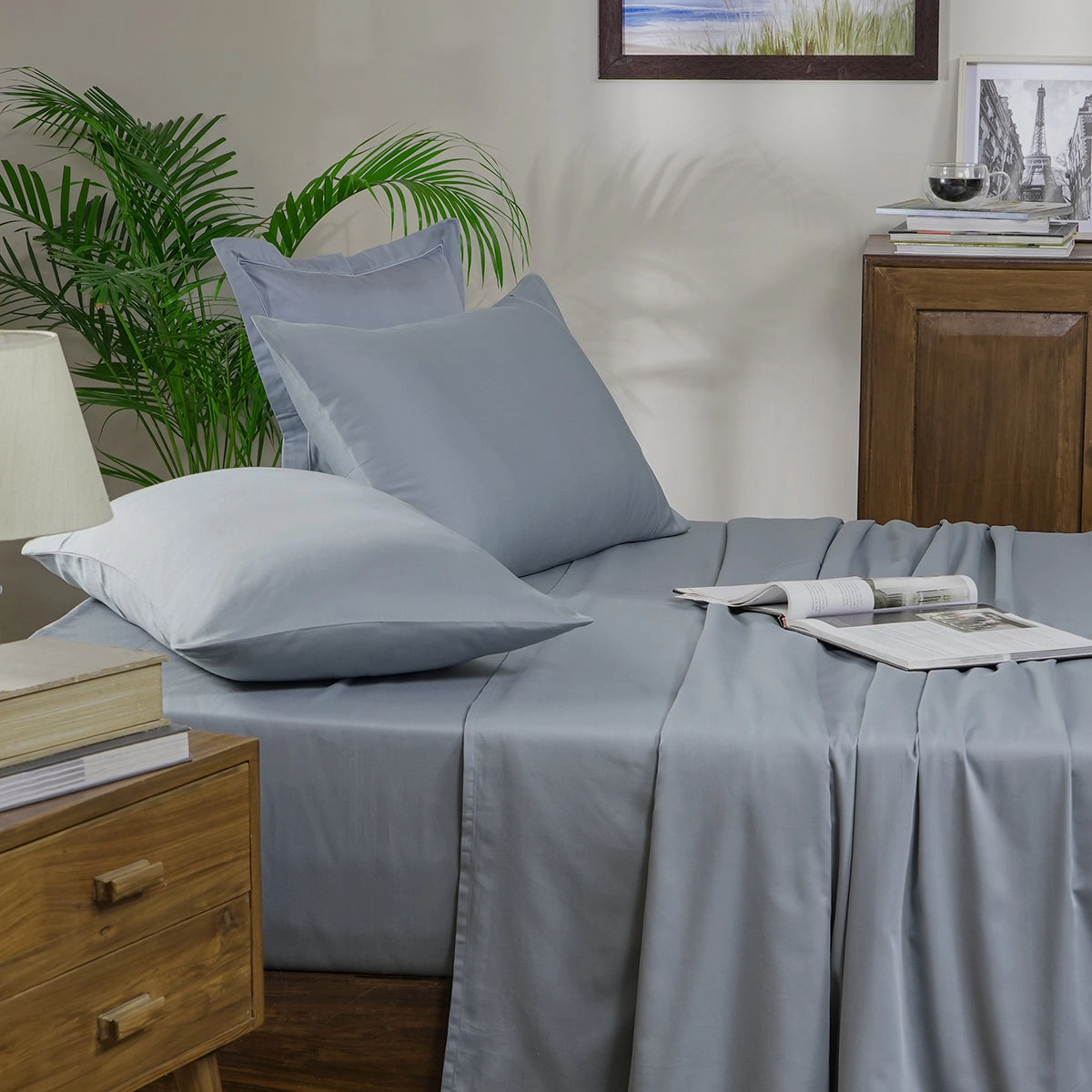 Melina Plain 100% Cotton Extra Soft & Luxurious Bed Sheet with Pillow Case