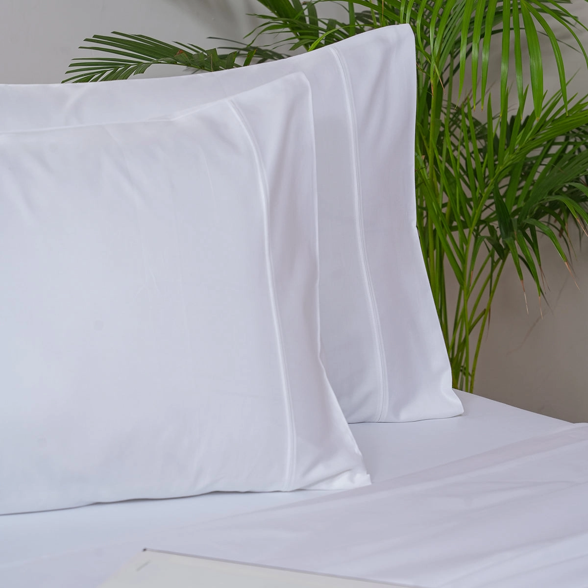 Melina Plain 100% Cotton Extra Soft & Luxurious Bed Sheet with Pillow Case