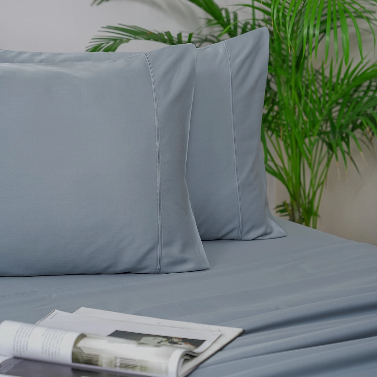 Melina Plain 100% Cotton Extra Soft & Luxurious Bed Sheet with Pillow Case