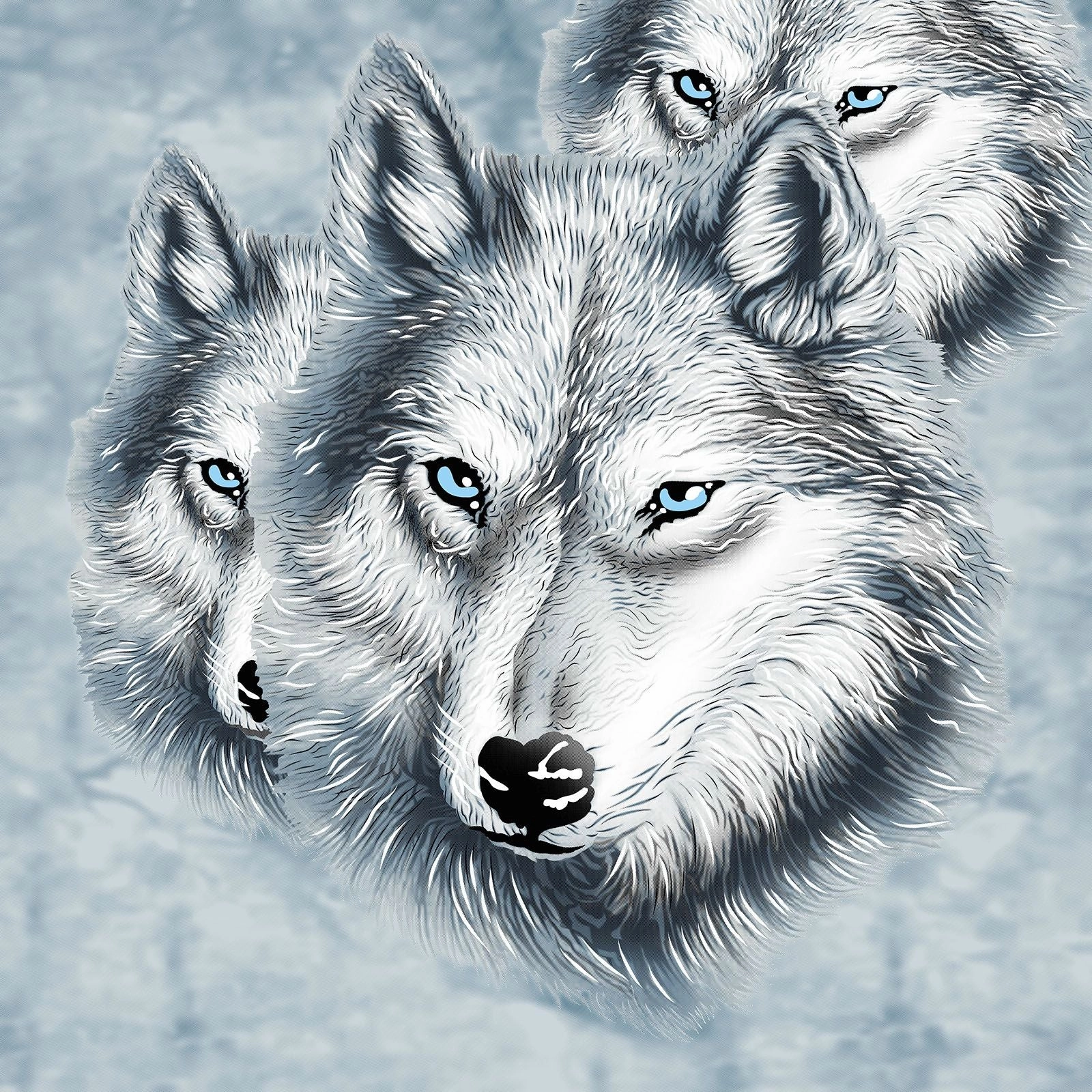 Mink Blanket ARCTIC WOLF Super Soft Heavy Weight 2 Ply by Renee Taylor
