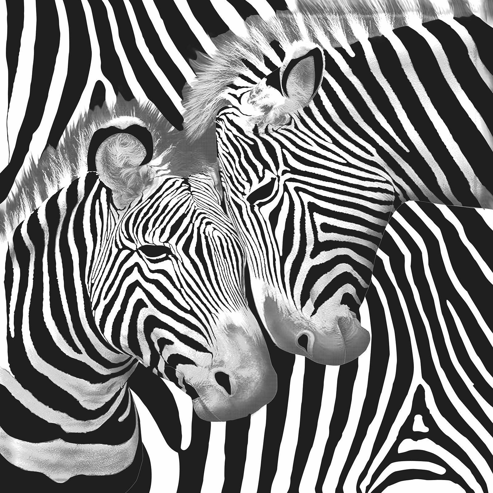 Mink Blanket ZEBRA Super Soft Heavy Weight 2 Ply by Renee Taylor