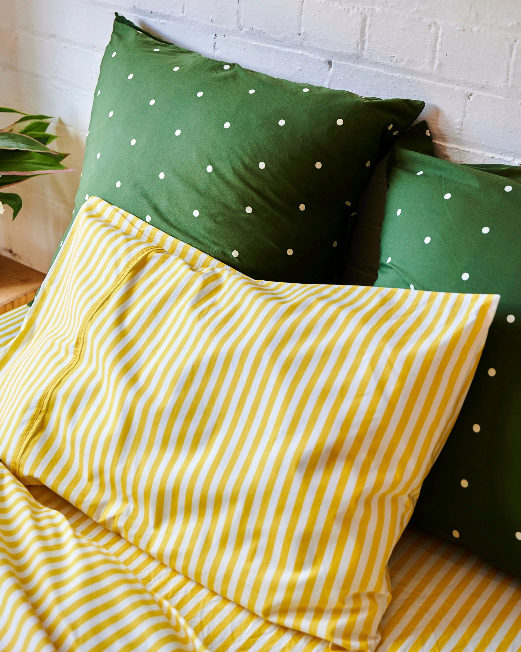 Polkadot Cactus Organic Cotton European Pillowcases