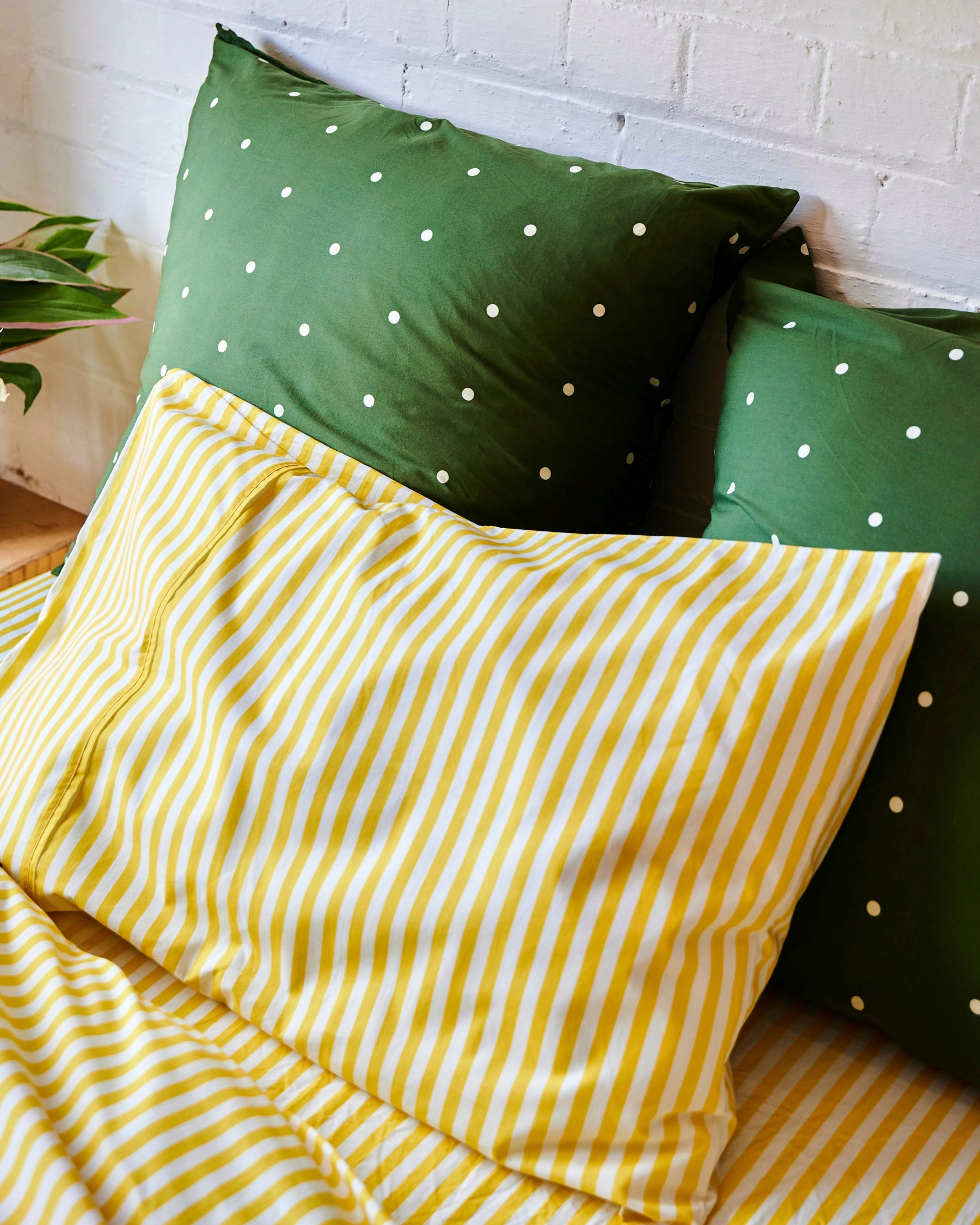 Polkadot Cactus Organic Cotton European Pillowcases