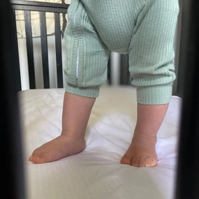 Signature Sateen Crib Fitted Sheet